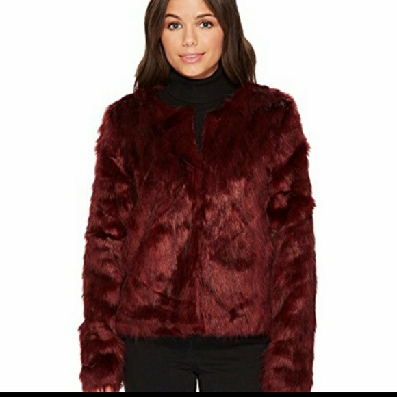 Romeo & Juliet - Picture 5 of 8